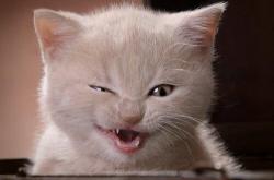 开云体育app-冠军之心，世界排名争夺战之夜，托尼关键战不手软