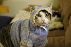 开云下载-篮球风云，灰熊强势压制雷霆，范弗利特德比战场展巨星本色