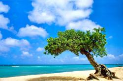 开云下载-钢刀与熔炉，爱德华兹持续制造杀伤撕裂深圳防线