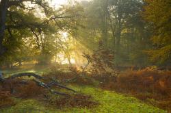 开云体育平台APP-末节的怒吼，当迪巴拉爆发遇上墨西哥的终场魔法