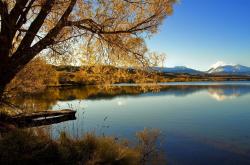 开云体育下载-钢铁之躯与灼热之心，武切维奇的稳定美学击穿麦迪逊喧嚣