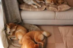 开云体育登录-绝境与救赎，当乔治大场面先生在生死战的血色中降临