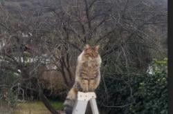 开云体育平台APP-欧冠烽火，布克，一个改写历史的传奇登场