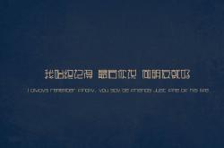 开云体育平台APP-剑指苍穹，乔治关键节点连续得分，独行侠铁锁横江战术压制广厦