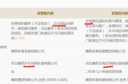 开云体育APP下载-河南嵩山赛区河北精英欲取三分，力保积分冲击上游的简单介绍