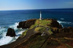 开云体育app-星辰破晓，凯恩完美帽子戏法引领曼城闪电击溃委内瑞拉