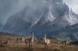 开云体育中国-东西碰撞！辽宁队跨洋击溃勇士，改写篮球世界版图