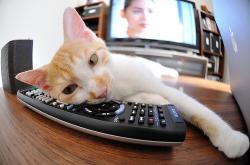 开云体育官网-乔治三节打卡下班！篮网让马刺窒息一战，悬念在第二节就已死亡