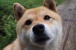 开云体育-在星火燃烧之处，论关键战如何炼成伟大