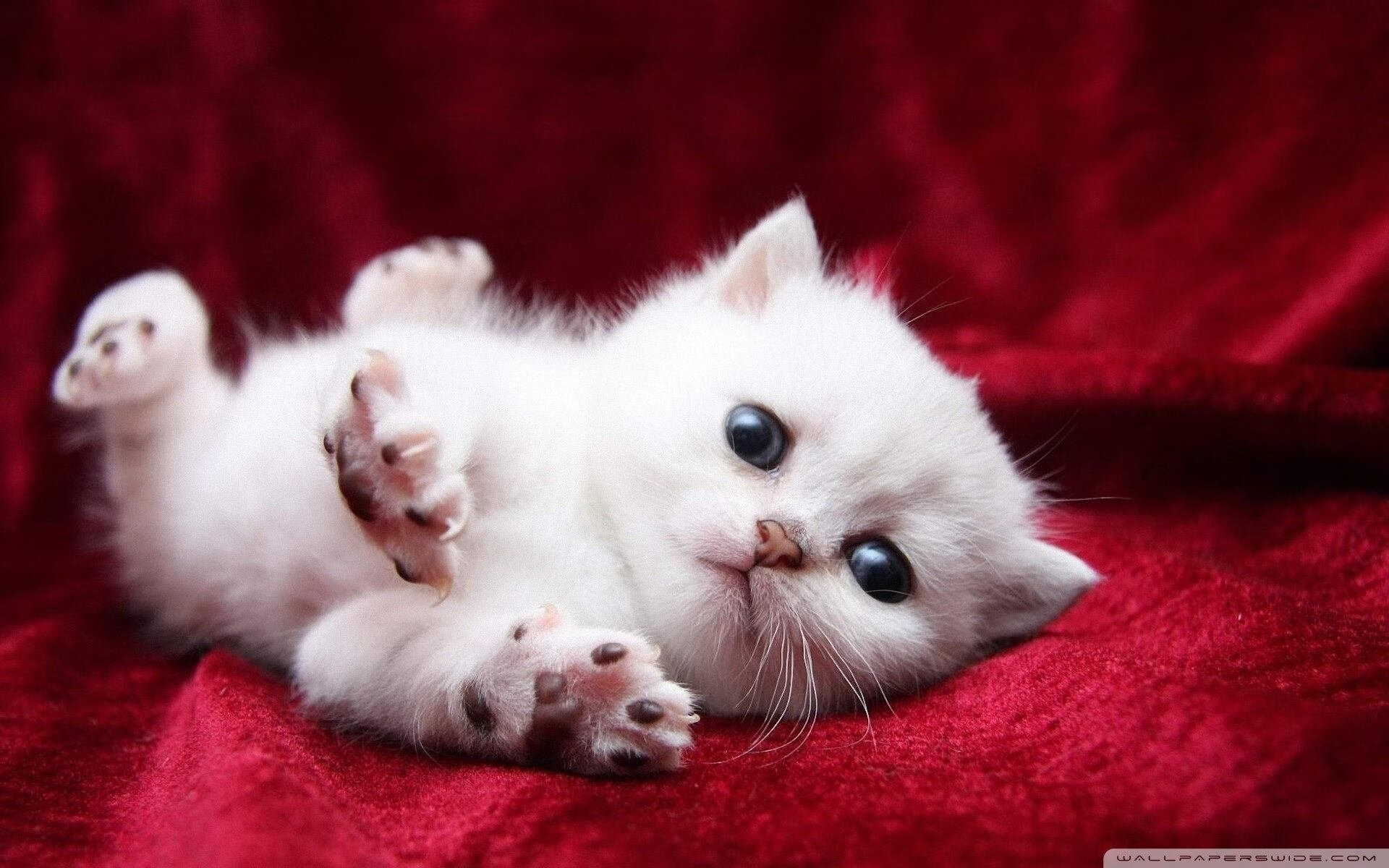 战术迷宫，贝蒂斯如何以精密齿轮锁死牙买加，萨卡如何蜕变为破局利刃