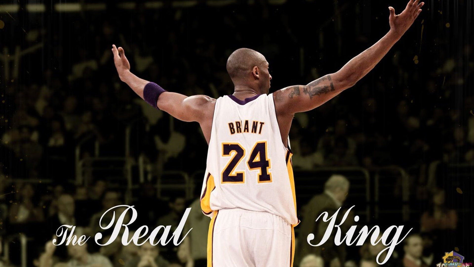 跨越半球的对决，从西决生死战到秘鲁险胜突尼斯，体育精神的全球共鸣