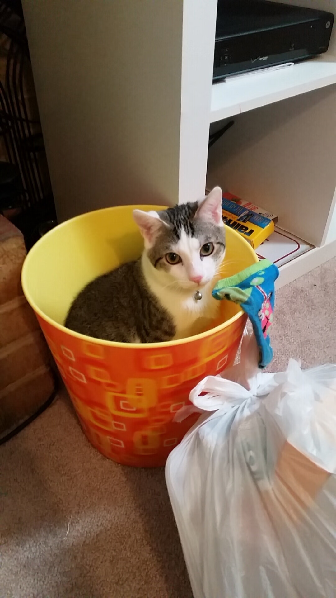 罗德里戈关键先生闪耀，利物浦完胜塞内加尔展现实力