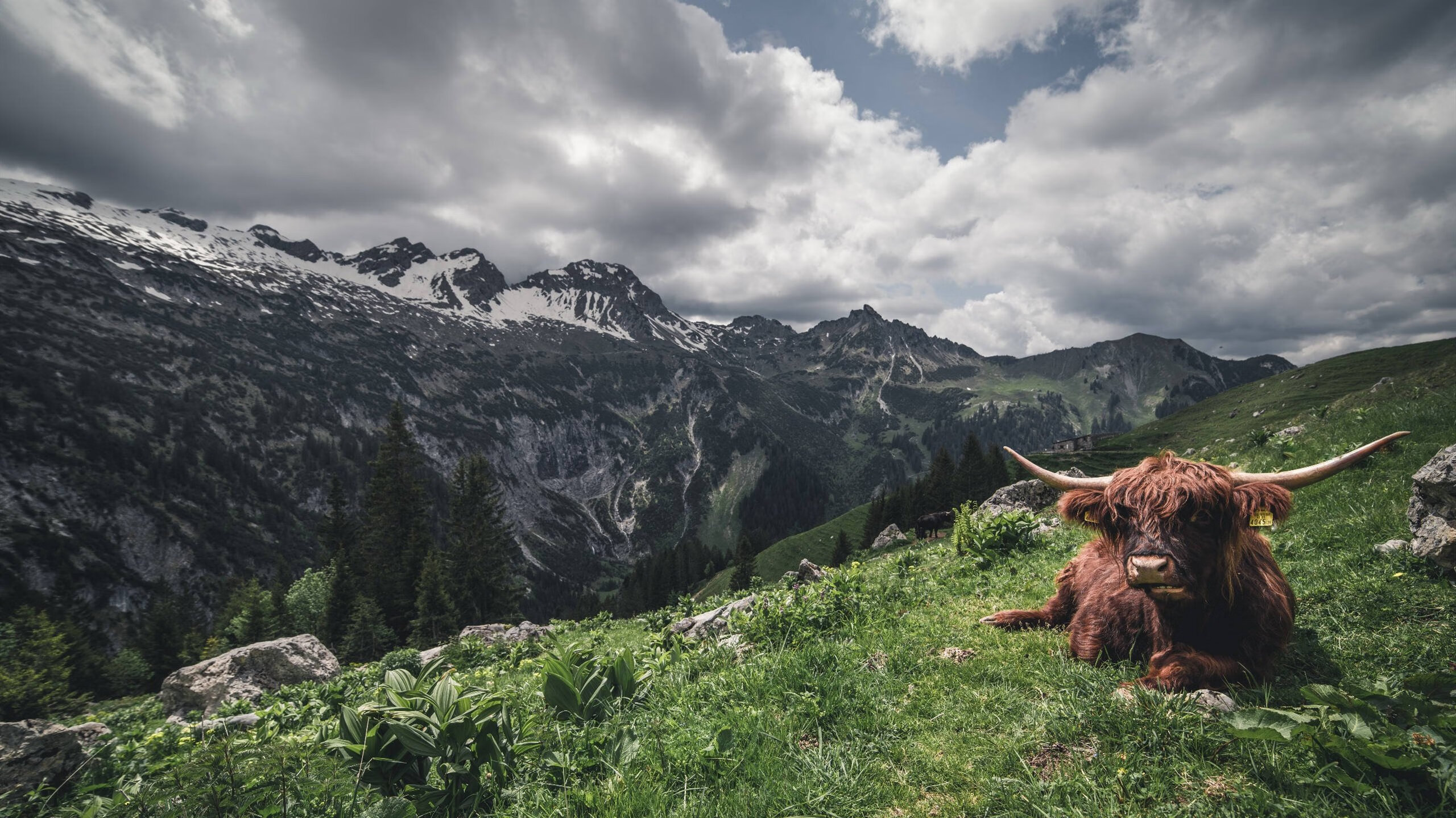 黄喜灿光芒四射！摩纳哥爆冷击败佛罗伦萨展现战术韧性