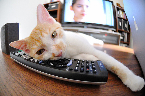 乔治三节打卡下班!篮网让马刺窒息一战,悬念在第二节就已死亡