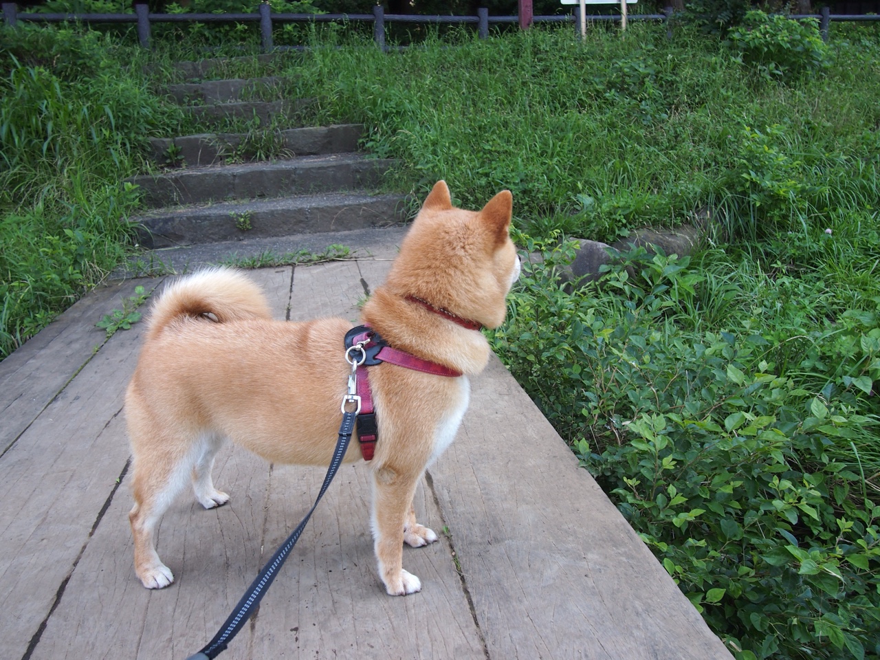 马赛铁壁，防守交响与阿尔瓦雷斯的舞台独奏