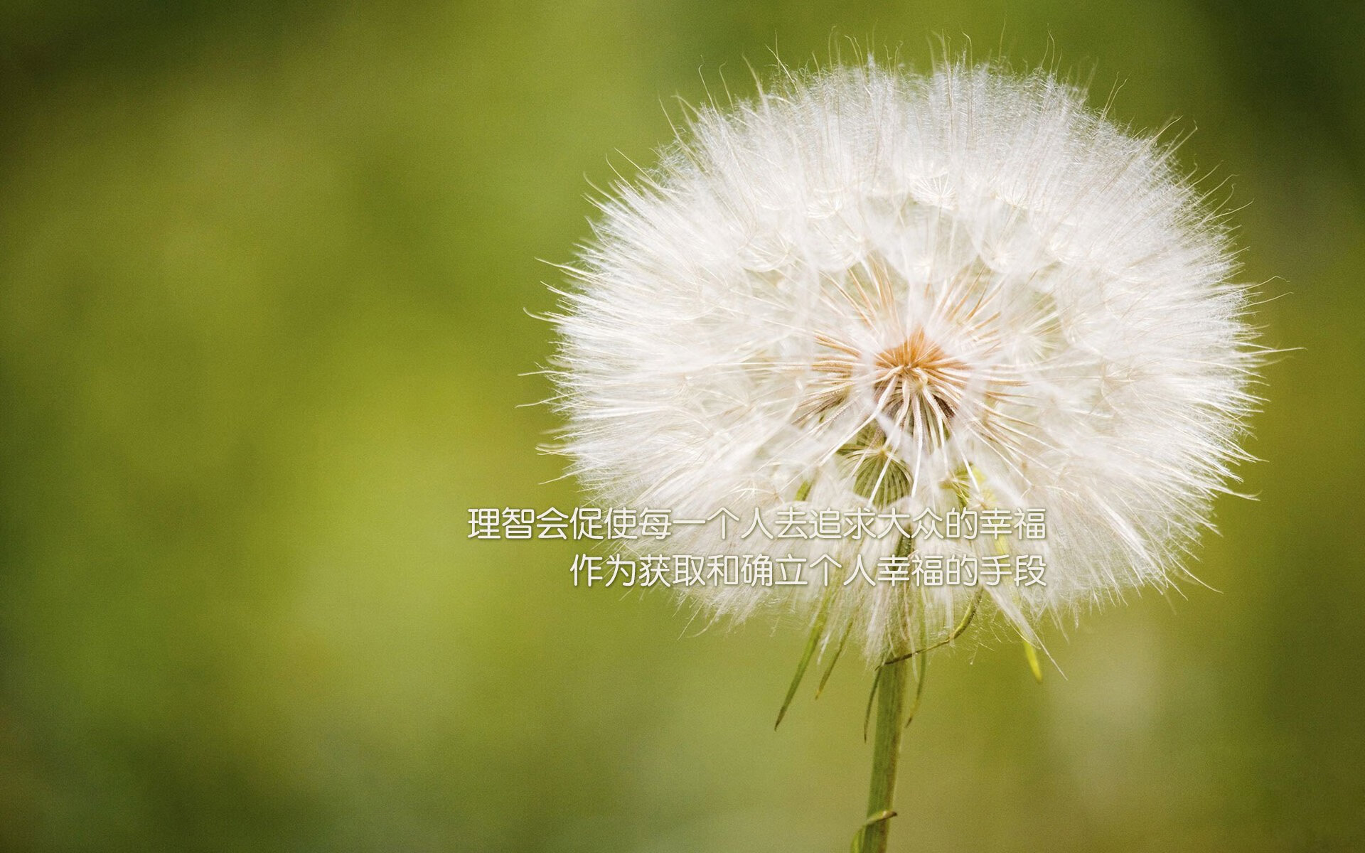 戈贝尔一柱擎天定义防守美学,广厦团队洪流席卷热火彰显冠军相