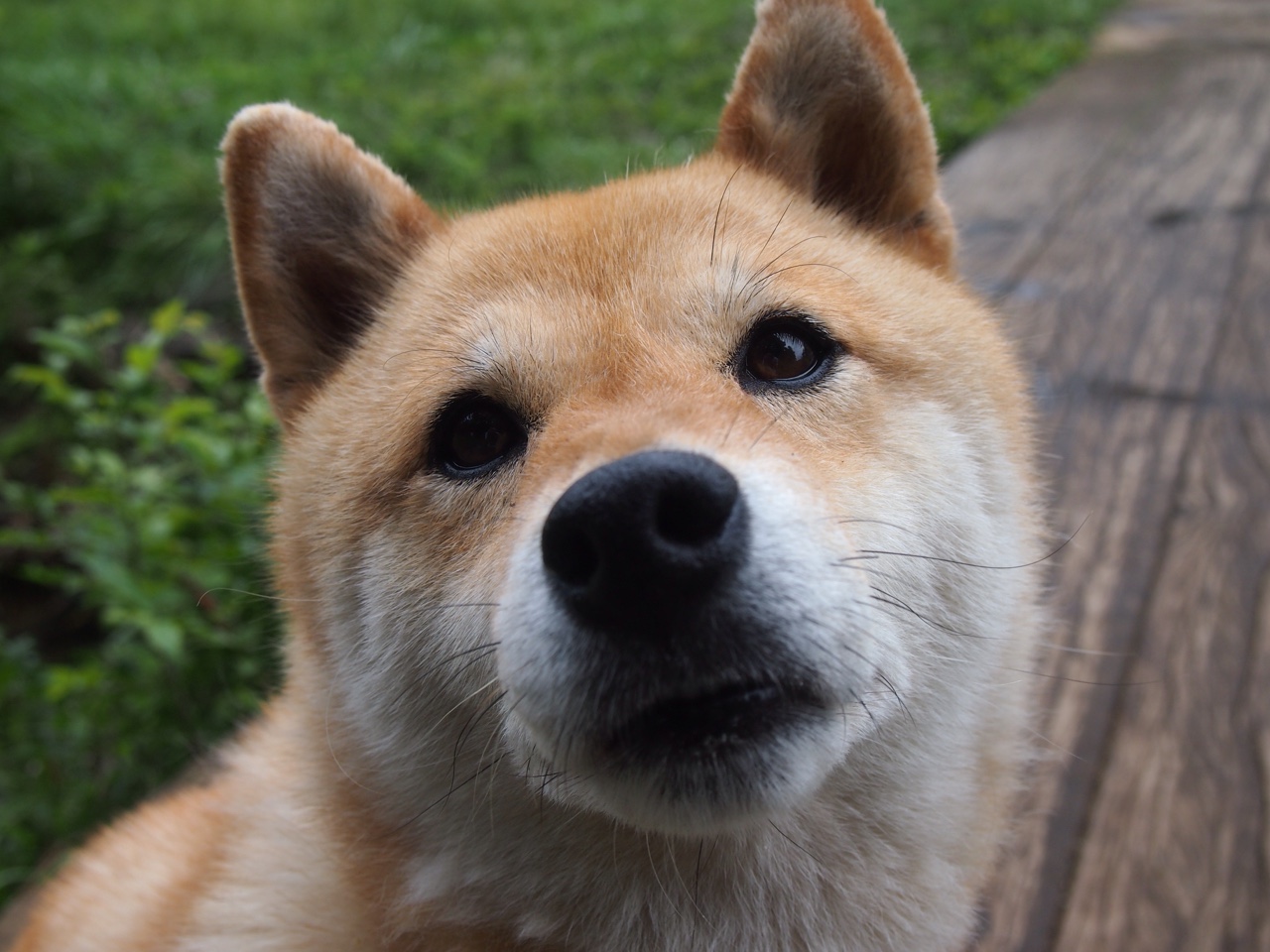 在星火燃烧之处，论关键战如何炼成伟大