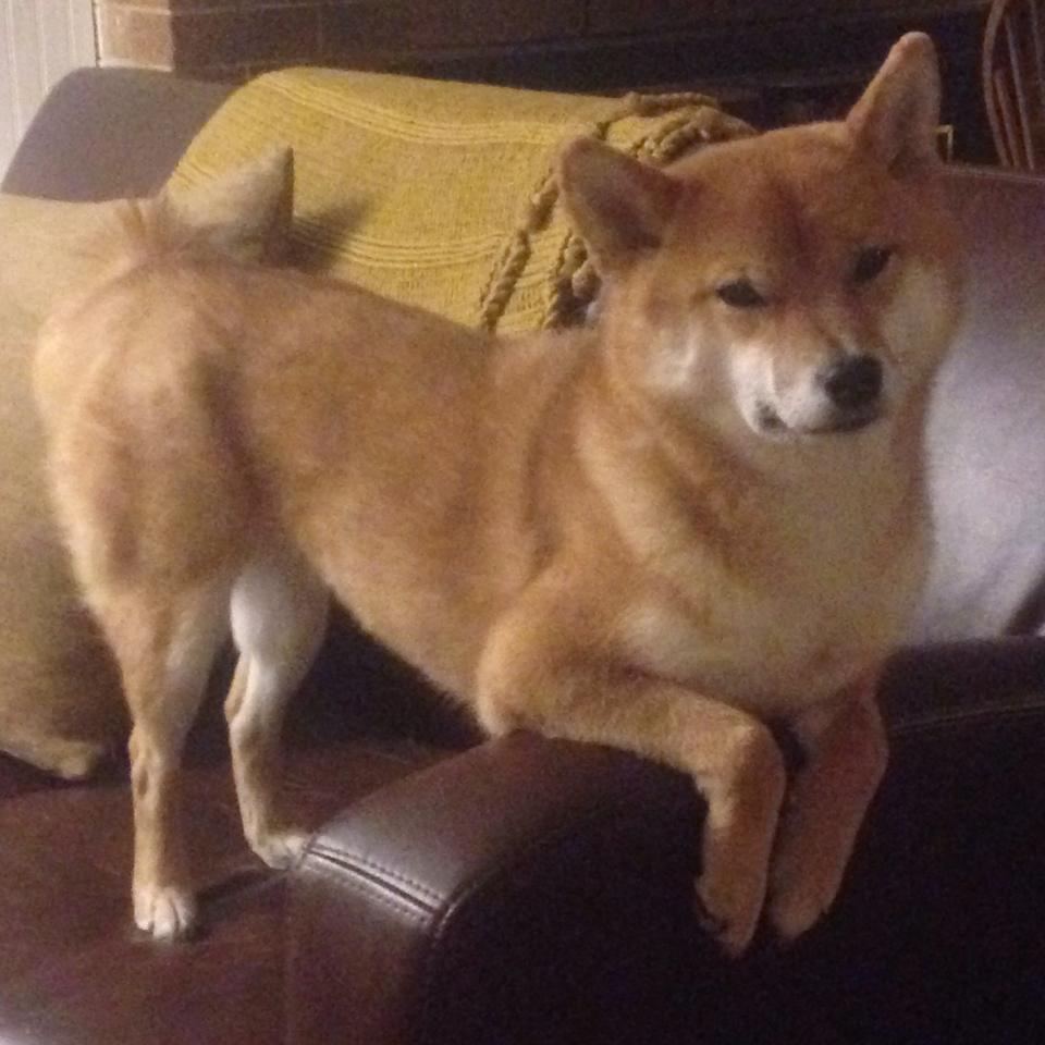 基米希一记惊雷定乾坤,英格兰力克巴黎背后的德意志智慧