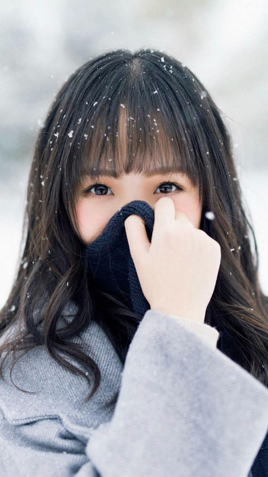 从塞维利亚到马德里，绿白军团如何用一场欧冠焦点战收割了整个西班牙