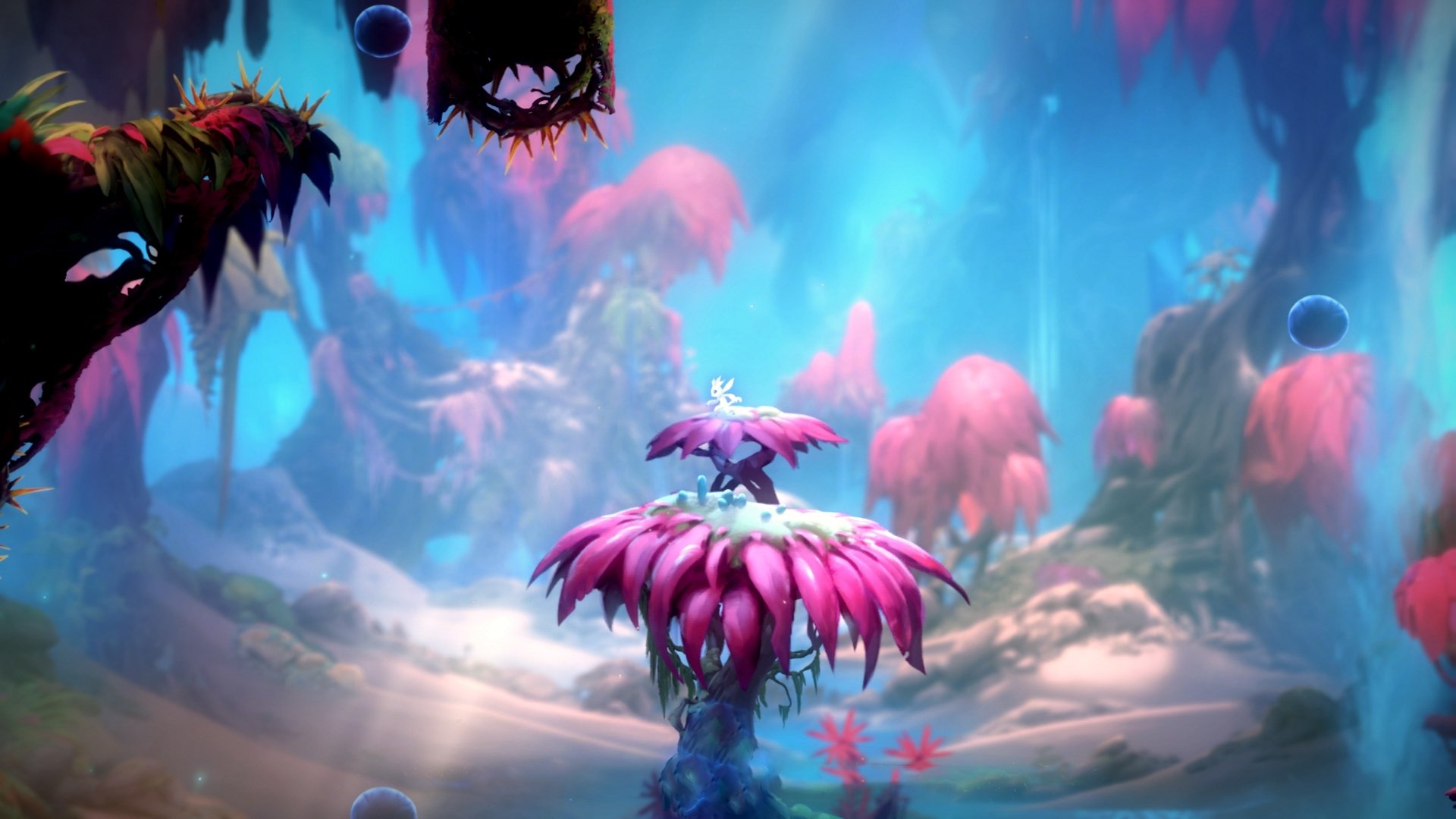 黄蜂末节狂飙一波带走快船，约基奇关键球诠释MVP本色