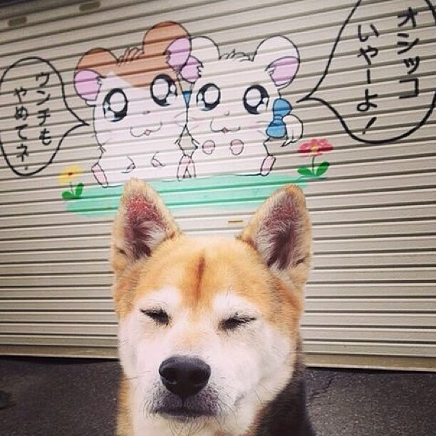 控场交响曲，魔术的青春风暴与德罗赞的古典绝响