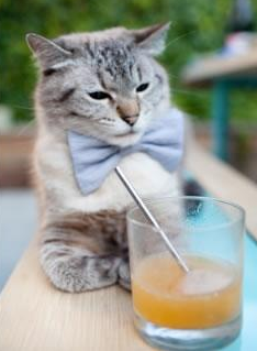 伦纳德用35+12+8演奏爵士交响曲，一场数据爆炸如何改变西部权力版图？