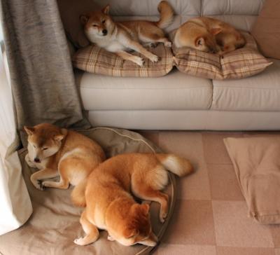 绝境与救赎，当乔治大场面先生在生死战的血色中降临