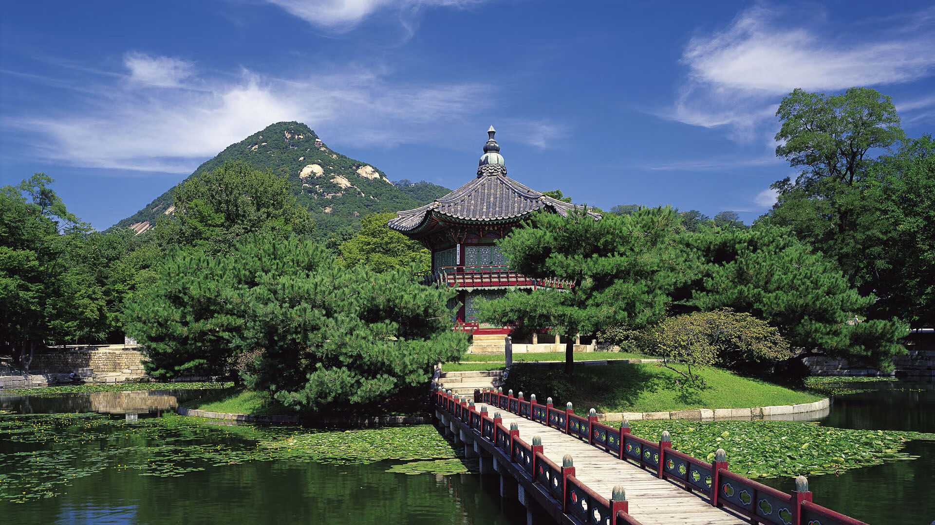 枫叶与彩虹的碰撞,富安健洋燃爆跨界足球史诗